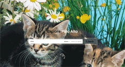 Desktop Screenshot of mycat.com.au
