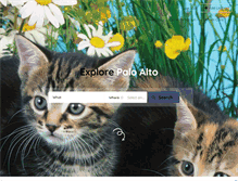 Tablet Screenshot of mycat.com.au